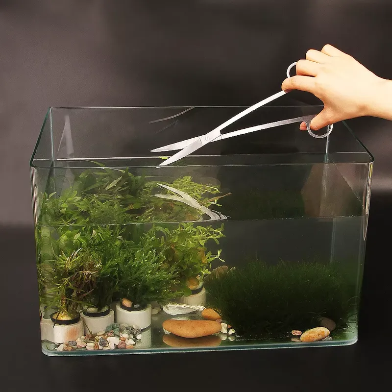 Aquarium Fish Popular - 인기 수족관 도구 세트, 어항 액세서리,