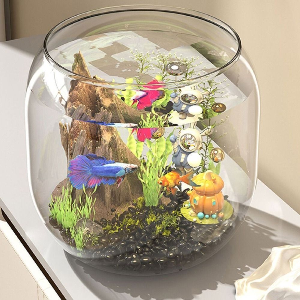 Live Fish Aquarium - 투명한 원형 어항, 깨지지 않는 플라스틱
