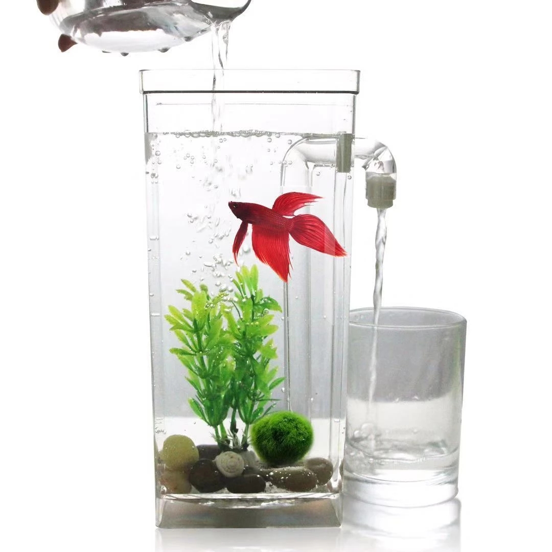 Aquarium Fish Goldfish - 게으른 무료 물 변경 데스크탑 물고기