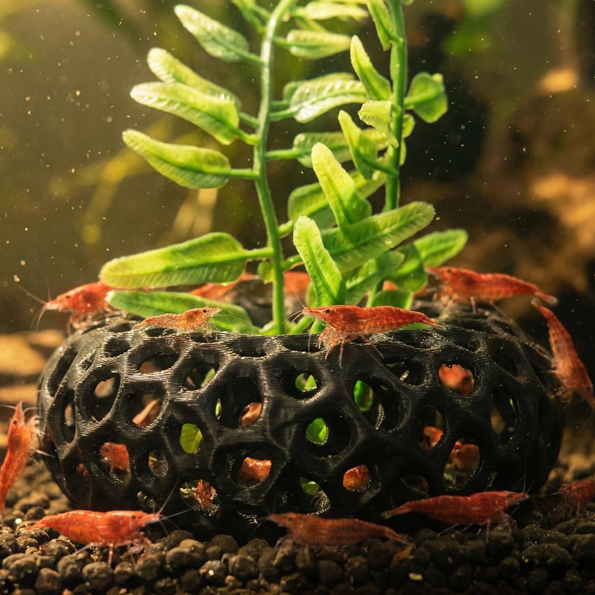 Aquarium Fish Reproduction - 인기 있는 3D 프린팅 수족관 물고기