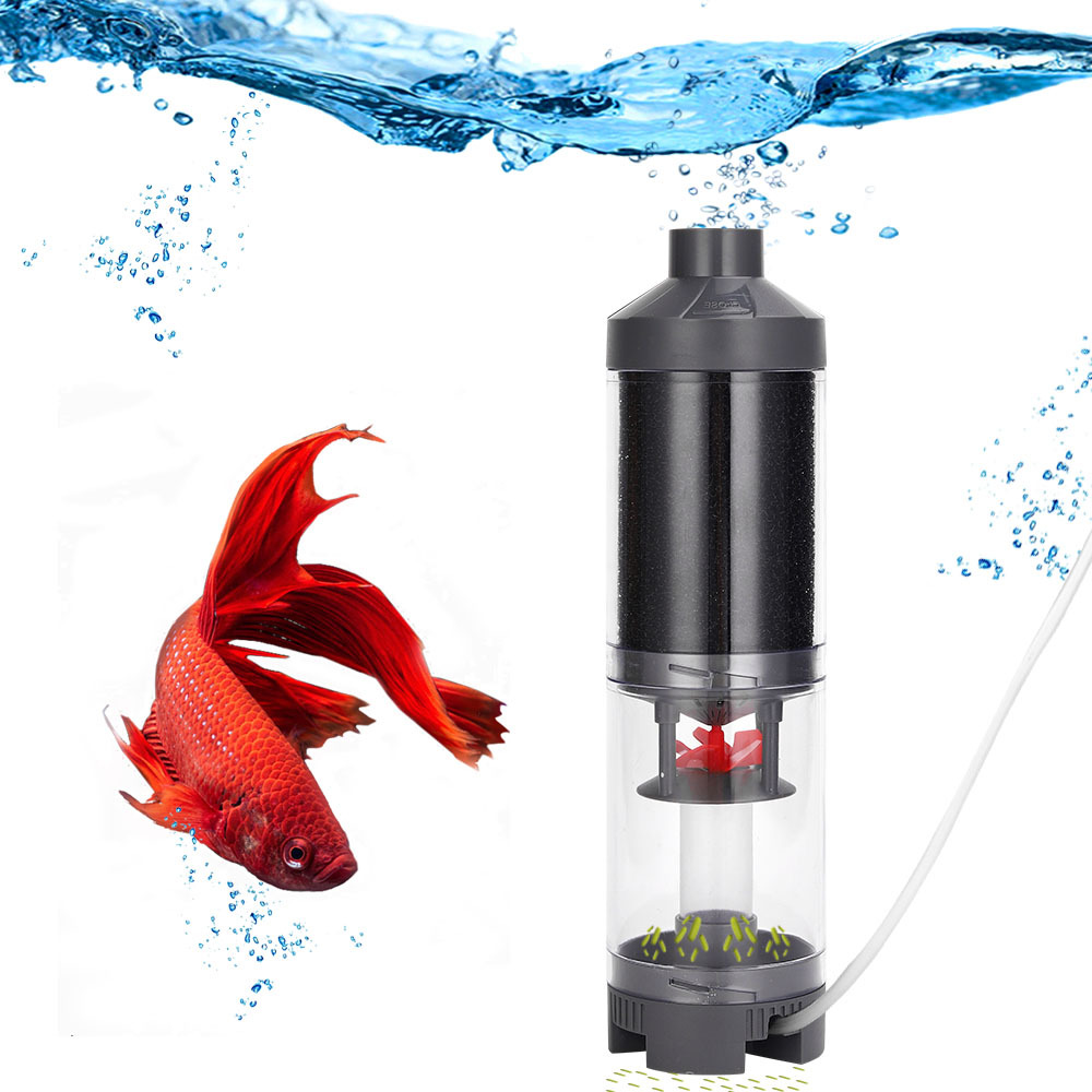 Aquarium Fish Popular - 인기 있는 최고 판매 수족관 물고기