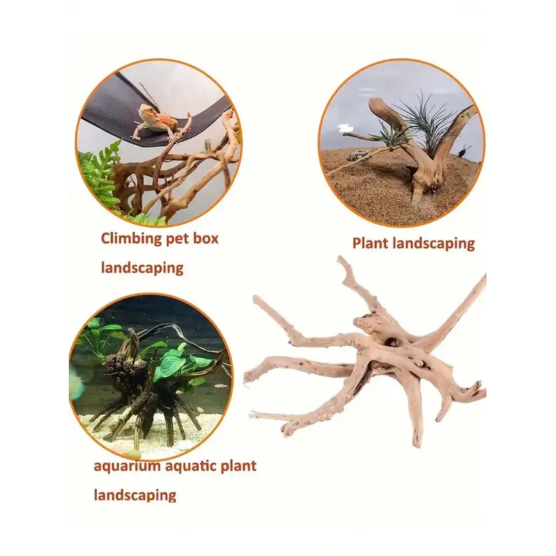 수족관 장식용 자연 유목, 어항 조경 장식품, 침몰목  - Aquarium Fish For Sale Online 리뷰 및 가격