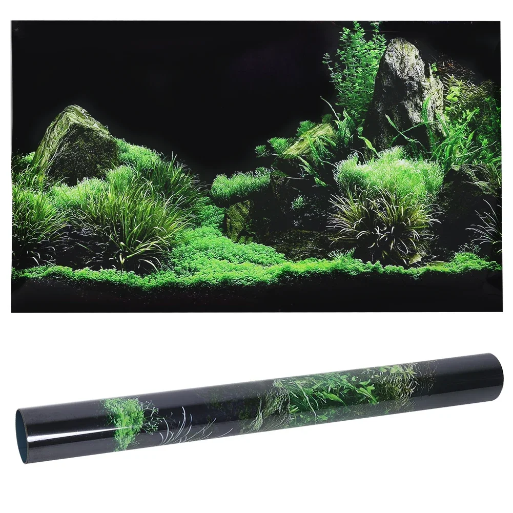 수족관 배경 3D 스티커 포스터, 수족관 배경 액세서리 - Aquarium Fish For Sale Online 리뷰 및 가격