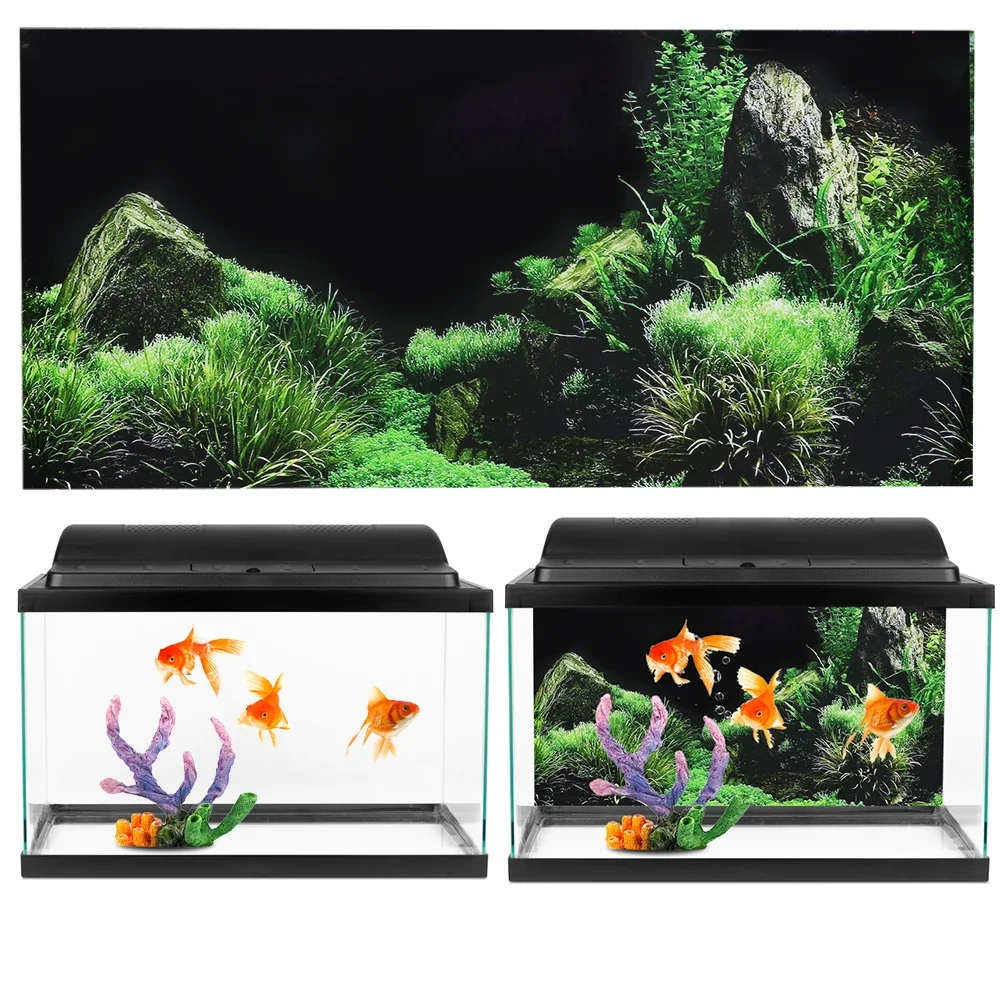 수족관 배경 3D 스티커 포스터, 수족관 배경 액세서리 - Aquarium Fish For Sale Online 리뷰 및 가격