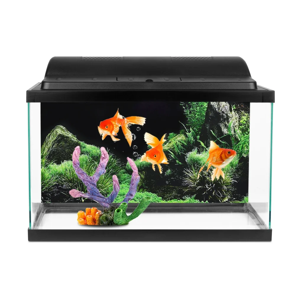 수족관 배경 3D 스티커 포스터, 수족관 배경 액세서리 - Aquarium Fish For Sale Online 리뷰 및 가격