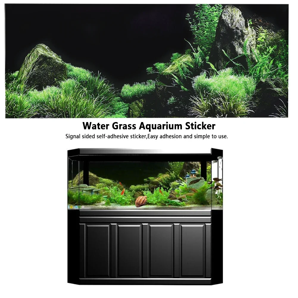 수족관 배경 3D 스티커 포스터, 수족관 배경 액세서리 - Aquarium Fish For Sale Online 리뷰 및 가격