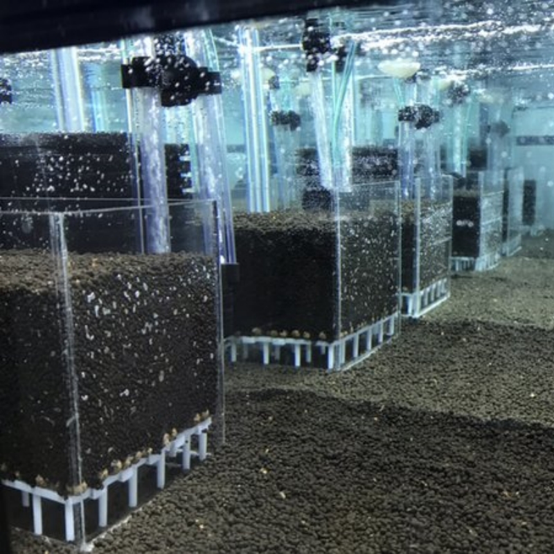 투명 아크릴 새우 어항 필터 시스템 수족관 사각 UGF - Aquarium Fish Reproduction 리뷰 및 가격