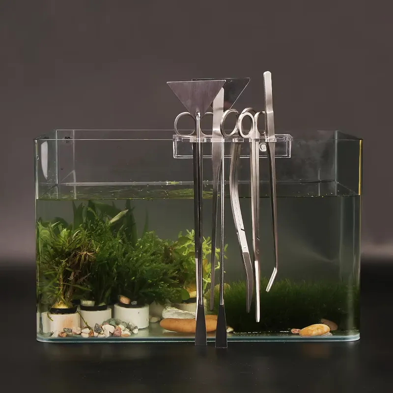 인기 수족관 도구 세트, 어항 액세서리, 물고기 탱크  - Aquarium Fish Popular 리뷰 및 가격