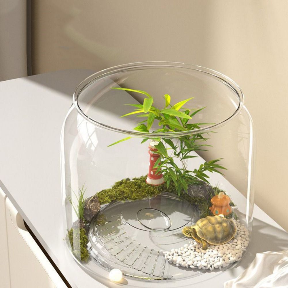 투명한 원형 어항, 깨지지 않는 플라스틱 관상용 어항, - Live Fish Aquarium 리뷰 및 가격