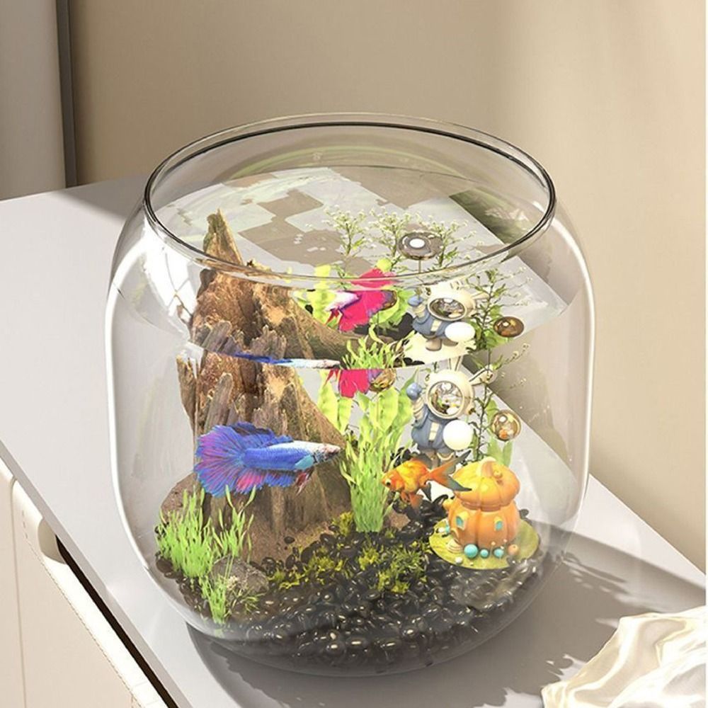 투명한 원형 어항, 깨지지 않는 플라스틱 관상용 어항, - Live Fish Aquarium 리뷰 및 가격