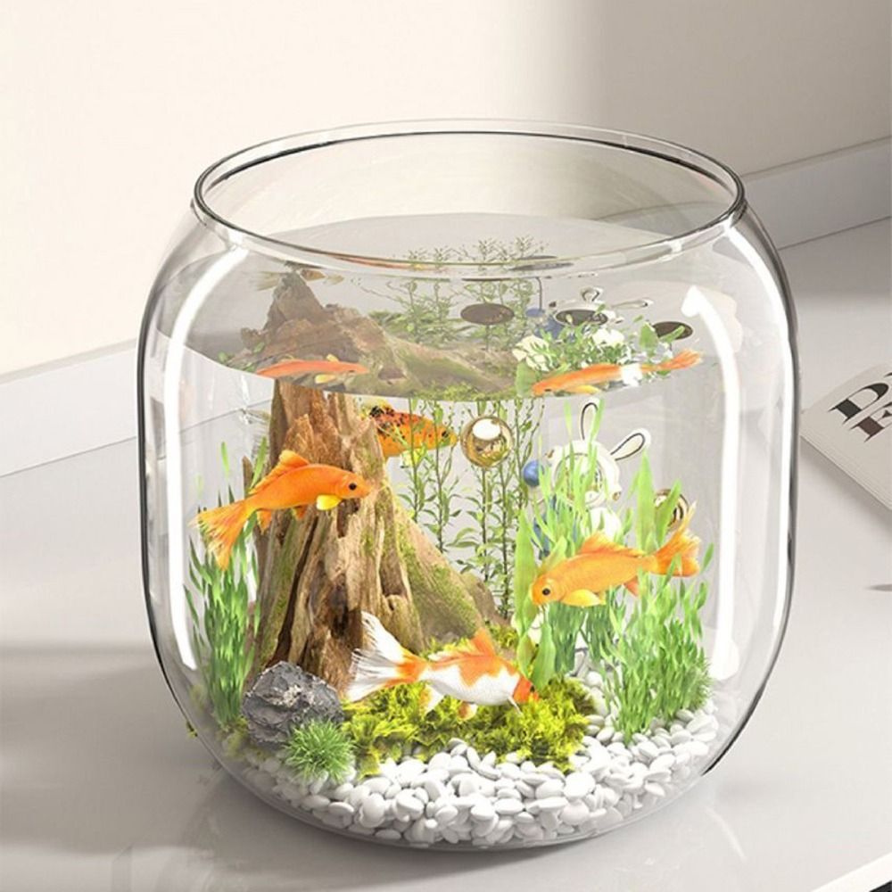 투명한 원형 어항, 깨지지 않는 플라스틱 관상용 어항, - Live Fish Aquarium 리뷰 및 가격