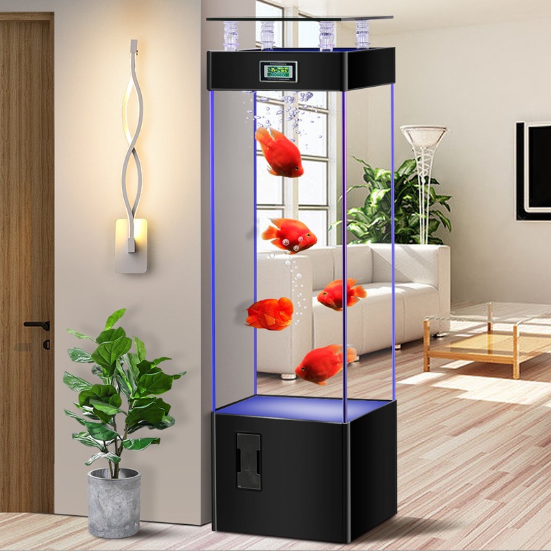 초투명 유리 어항, 물갈이 필요없는 생태 수족관, 중소 - Aquarium Fish Goldfish 리뷰 및 가격