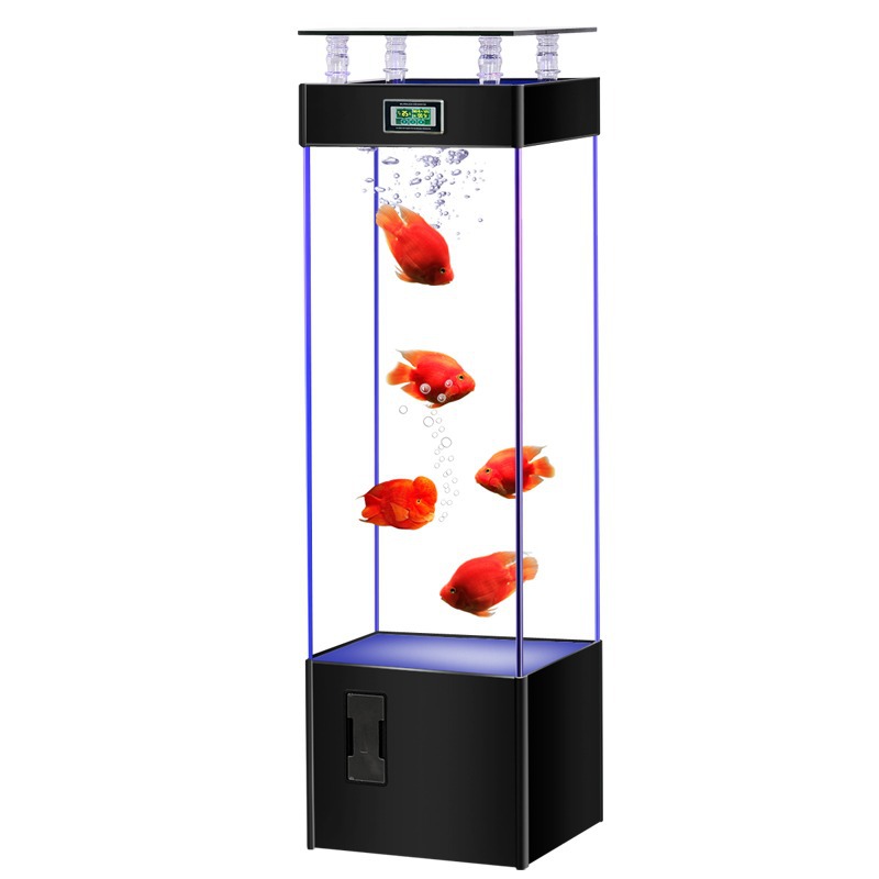 초투명 유리 어항, 물갈이 필요없는 생태 수족관, 중소 - Aquarium Fish Goldfish 리뷰 및 가격