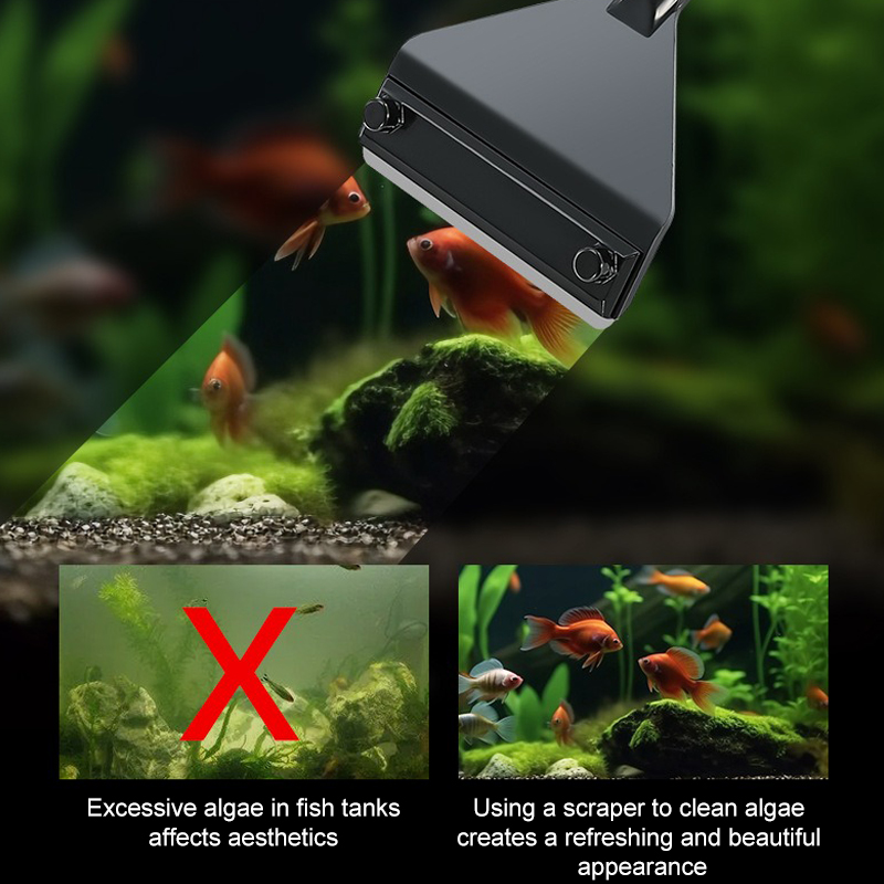 수족관 조류 제거제 알루미늄 합금 스테인레스 스틸 스크 - Algae Scraper Blade 리뷰 및 가격