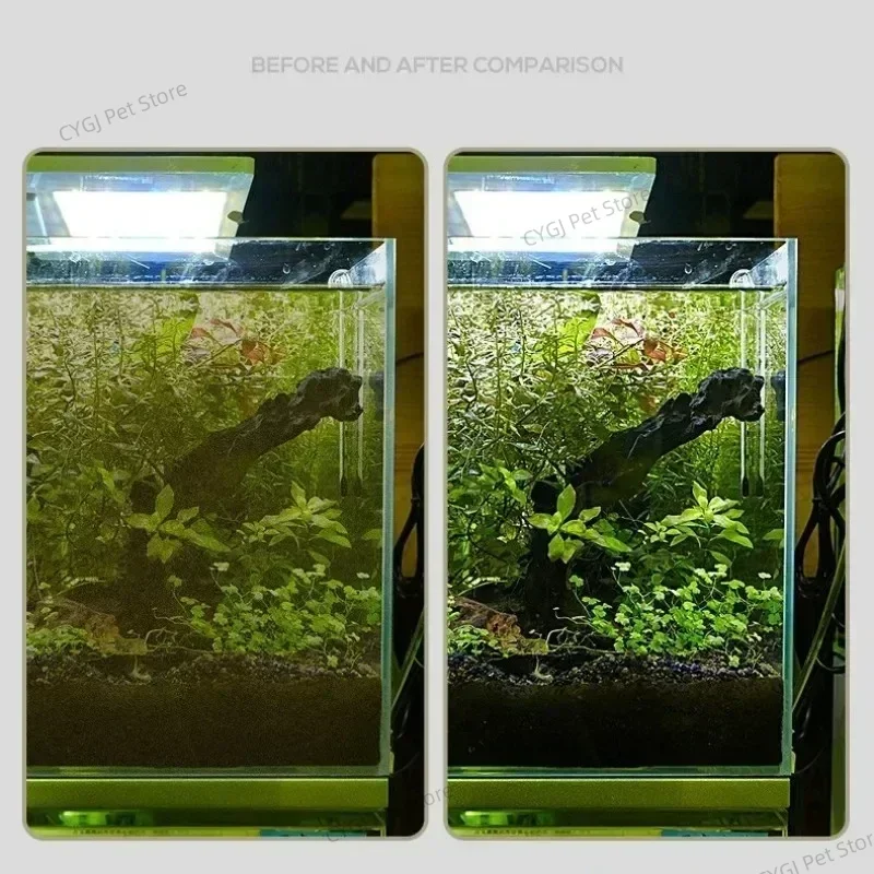 수조 청소 도구 평면 모래 조류 제거 이중 용도 유리  - Algae Scraper Blade 리뷰 및 가격