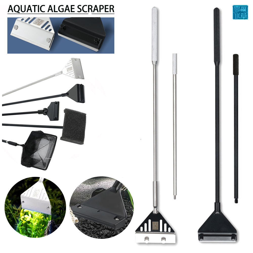 스테인레스 스틸 수족관 어항 조류 스크레이퍼 블레이드, - Algae Scraper Blade 리뷰 및 가격