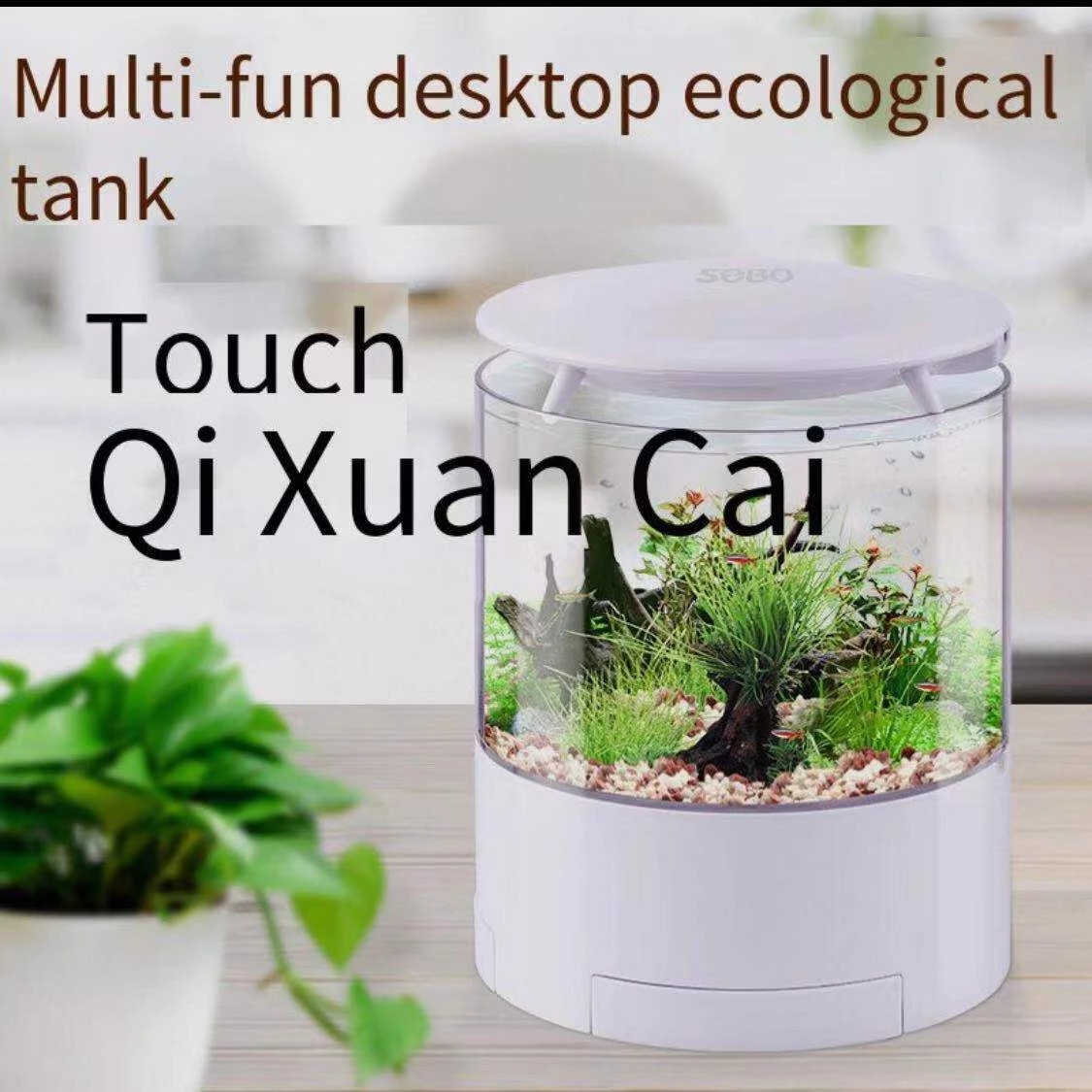 원형 다채로운 조명 데스크탑 어항 미니 싸움 어항, 작 - Aquarium Fish Goldfish 리뷰 및 가격