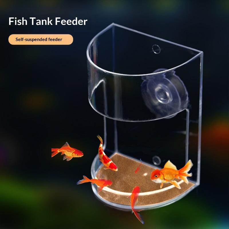 인기 있는 1/3/5개입 플로팅 푸드 트레이 피더 수족 - Aquarium Fish Popular 리뷰 및 가격