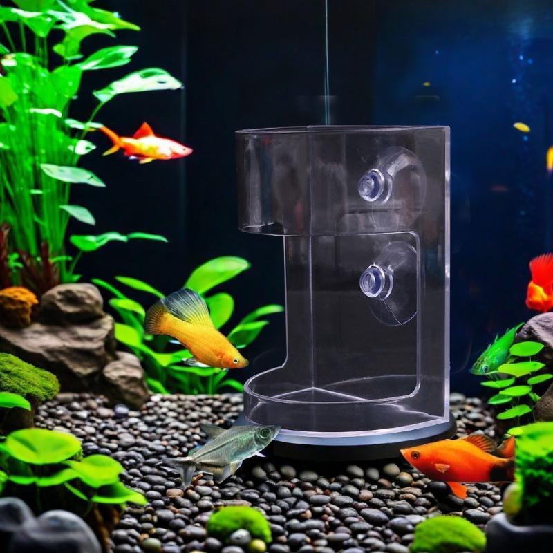 인기 있는 1/3/5개입 플로팅 푸드 트레이 피더 수족 - Aquarium Fish Popular 리뷰 및 가격