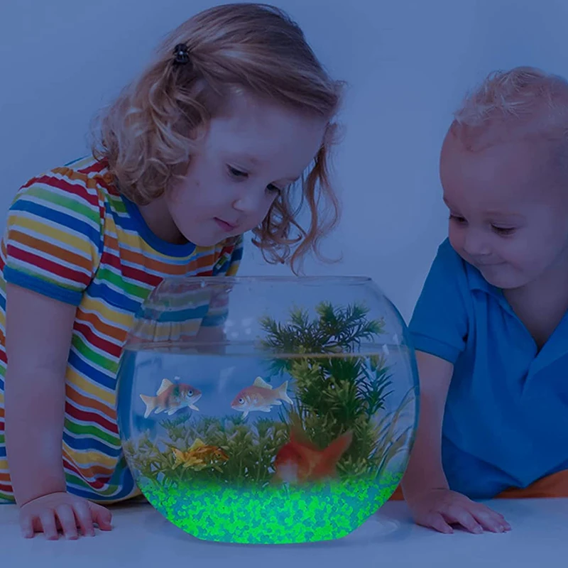 1000pcs 어두운 자갈 돌에 3-5mm 빛나는 모래 - Aquarium Fish Guppy 리뷰 및 가격