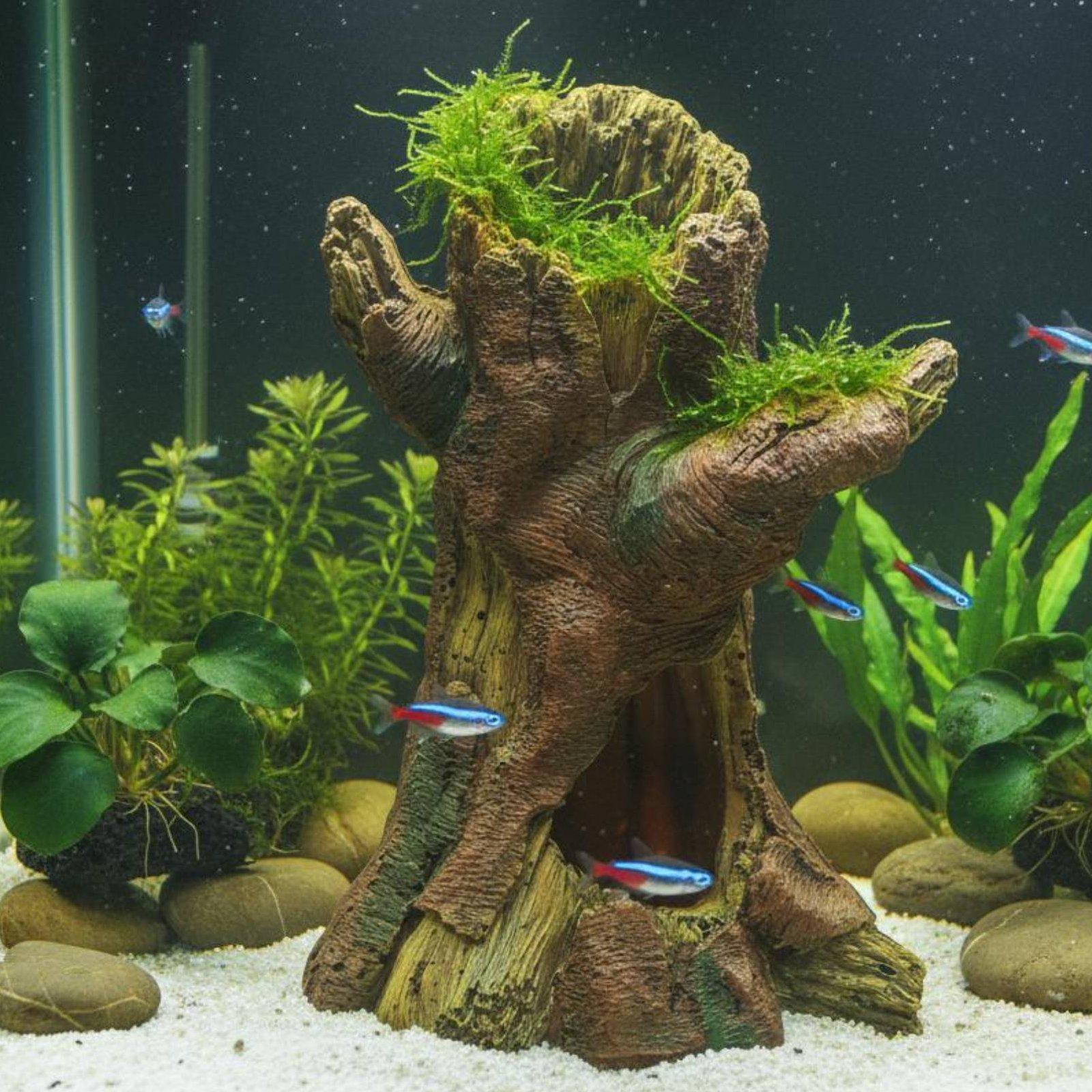 수족관 조경 장식 수족관 데코 레진 나무 줄기 쉼터 ( - Aquarium Fish Usa 리뷰 및 가격