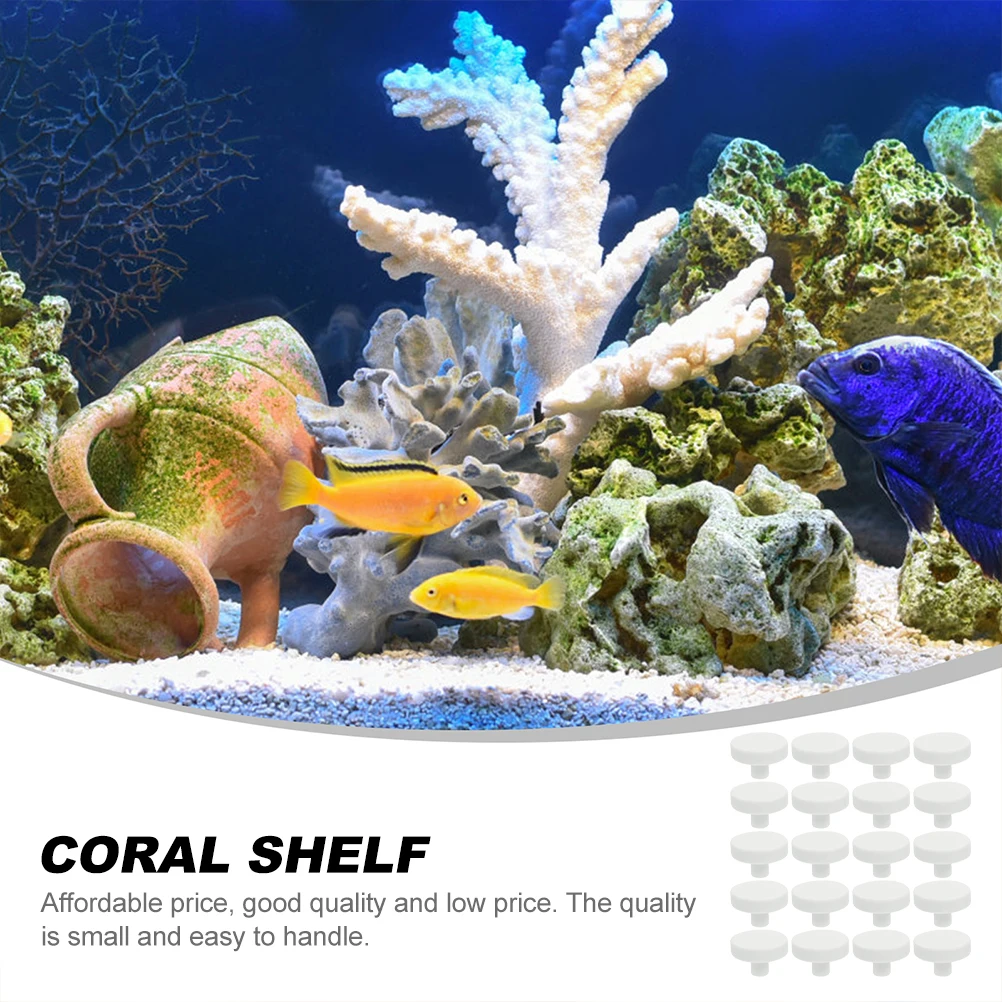 20Pcs 산호 접착제 암초 안전 산호베이스 T 자형  - Aquarium Fish Reproduction 리뷰 및 가격