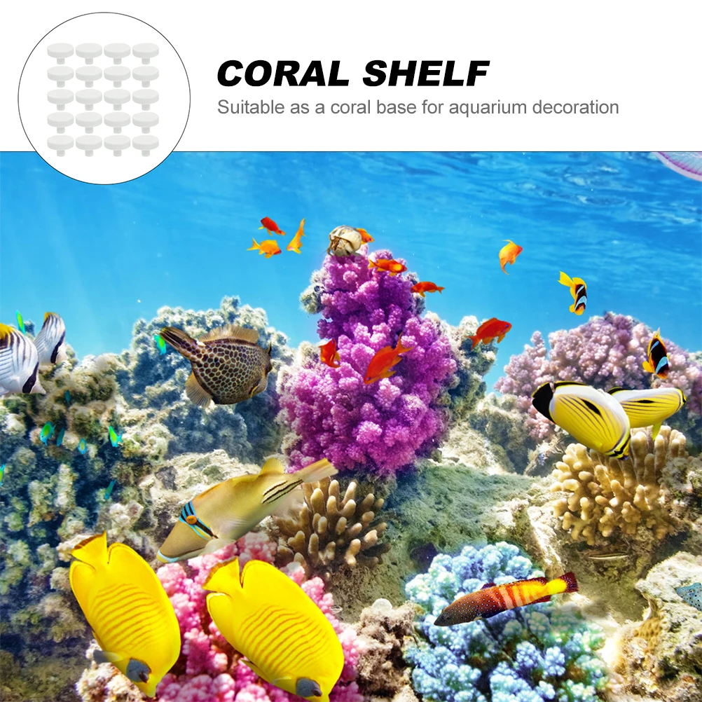 20Pcs 산호 접착제 암초 안전 산호베이스 T 자형  - Aquarium Fish Reproduction 리뷰 및 가격