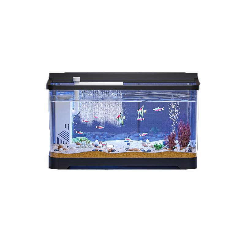 ABS 미니 어항 베타 수족관 스타터 키트, 음소거 수 - Live Fish Aquarium 리뷰 및 가격