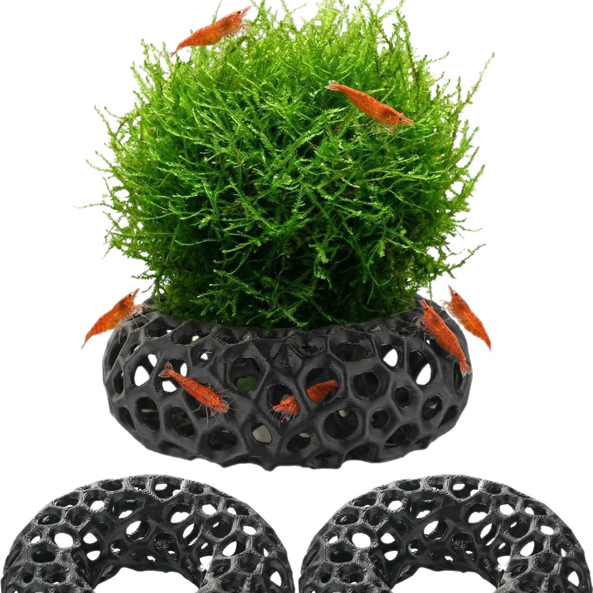 인기 있는 3D 프린팅 수족관 물고기 및 새우 탈출용  - Aquarium Fish Reproduction 리뷰 및 가격