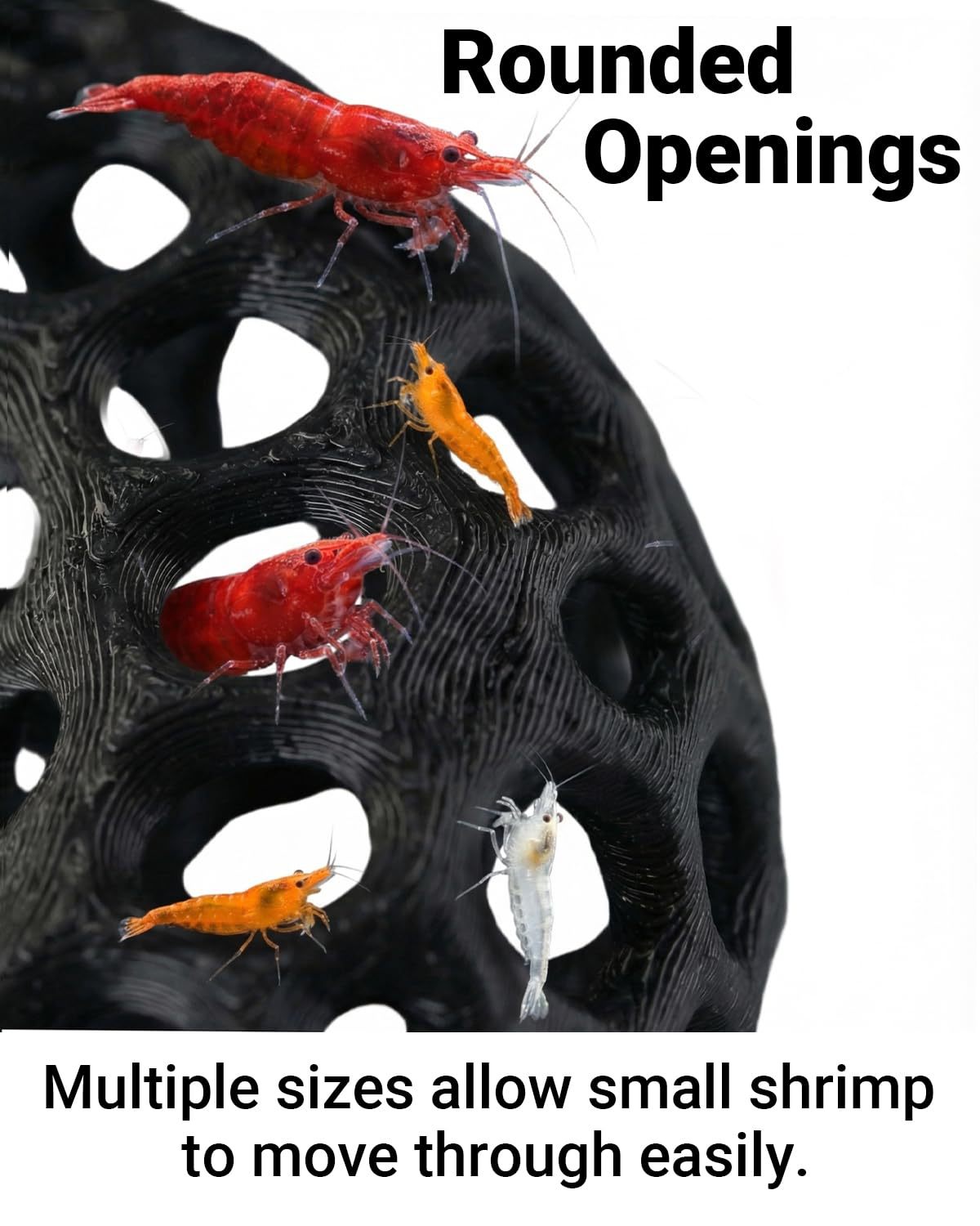 인기 있는 3D 프린팅 수족관 물고기 및 새우 탈출용  - Aquarium Fish Reproduction 리뷰 및 가격