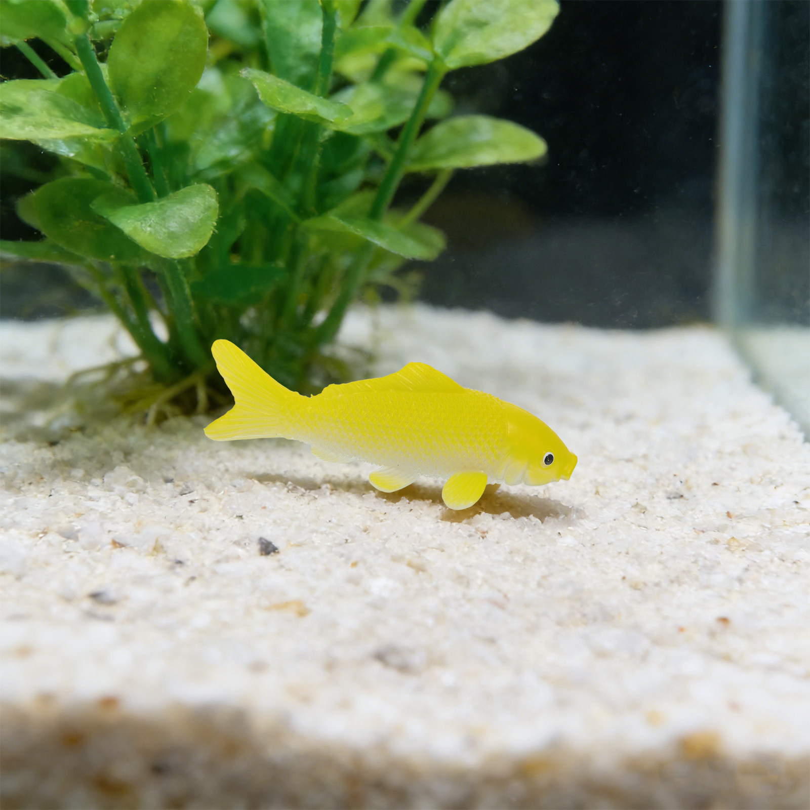 3pcs 물고기 공예 장난감 현실적인 플라스틱 물고기  - Aquarium Fish Goldfish 리뷰 및 가격