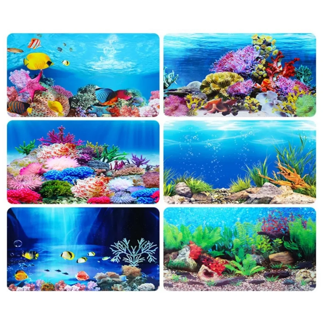 배경 수족관 3D 스티커 포스터 장식, 어항 해양 식물 - Aquarium Fish For Sale Online 리뷰 및 가격