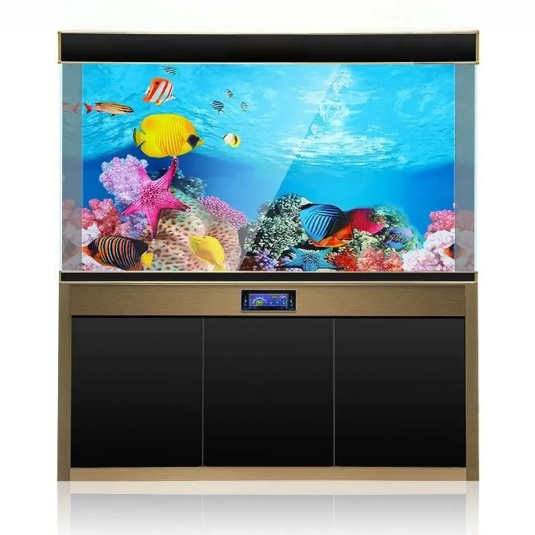 배경 수족관 3D 스티커 포스터 장식, 어항 해양 식물 - Aquarium Fish For Sale Online 리뷰 및 가격