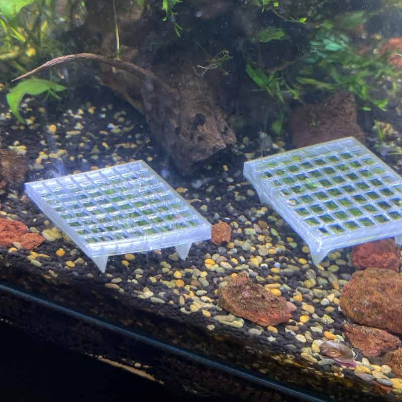 수족관 이끼망 홀더, 어항 조경용 수생 식물 재배 그리 - Aquarium Fish Elevator 리뷰 및 가격