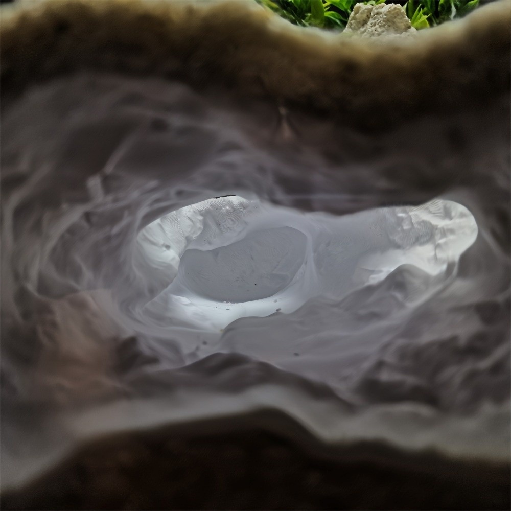 고도로 시뮬레이션된 수족관 어항 자연 3D 프린팅 파충 - Aquarium Fish Reproduction 리뷰 및 가격