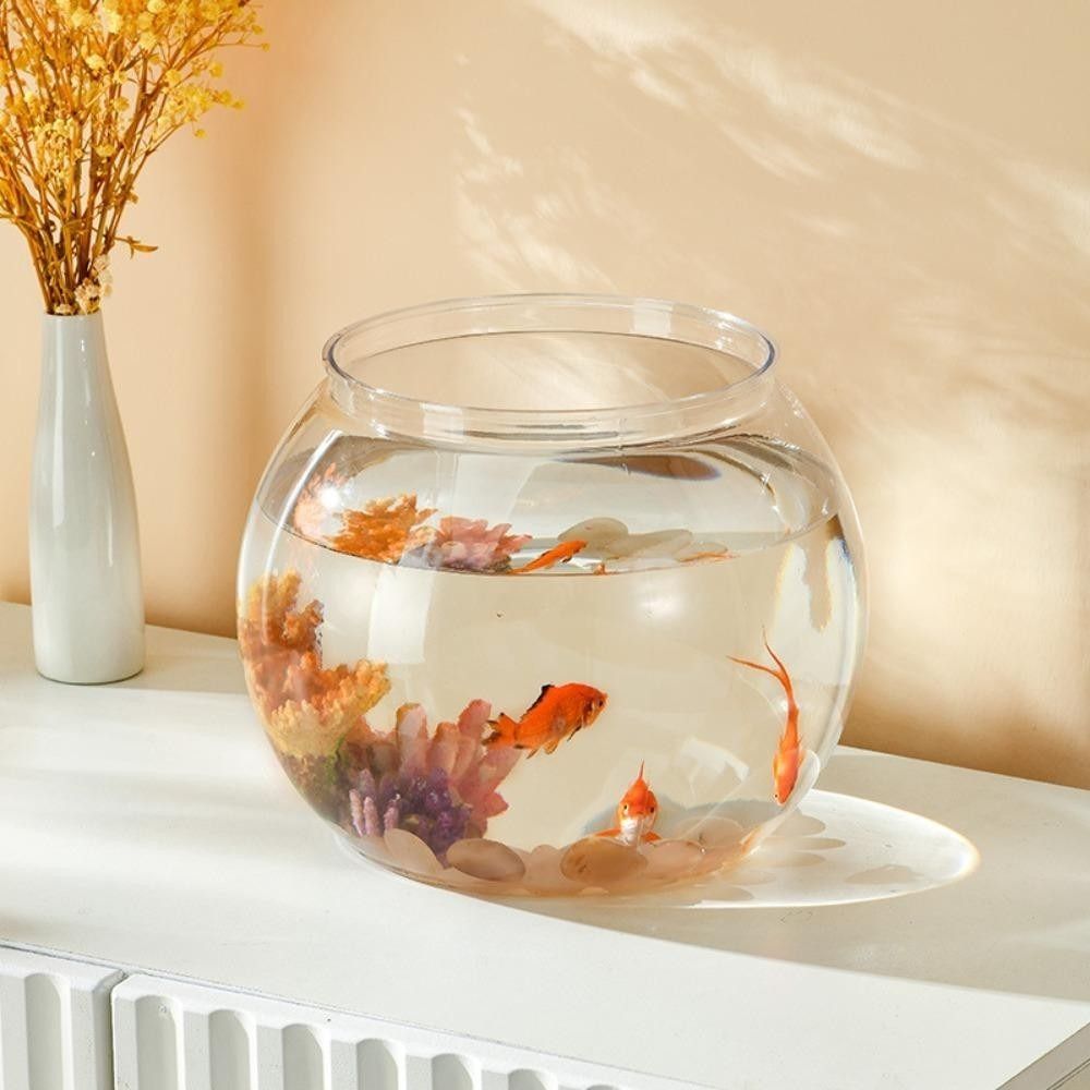 휴대용 투명 어항 원형 깨지지 않는 플라스틱 수조 가벼 - Aquarium Fish Goldfish 리뷰 및 가격