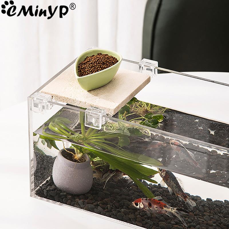 5.5mm ~ 15mm 벽 두께에 대 한 4Pcs 물고 - Aquarium Fish Elevator 리뷰 및 가격