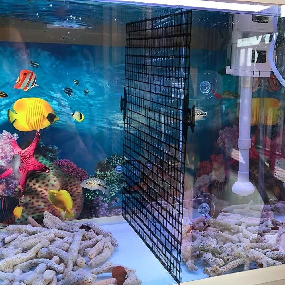 14개 검정색 플라스틱 수족관 그리드 메쉬(흡착컵 클립 - Aquarium Fish Elevator 리뷰 및 가격
