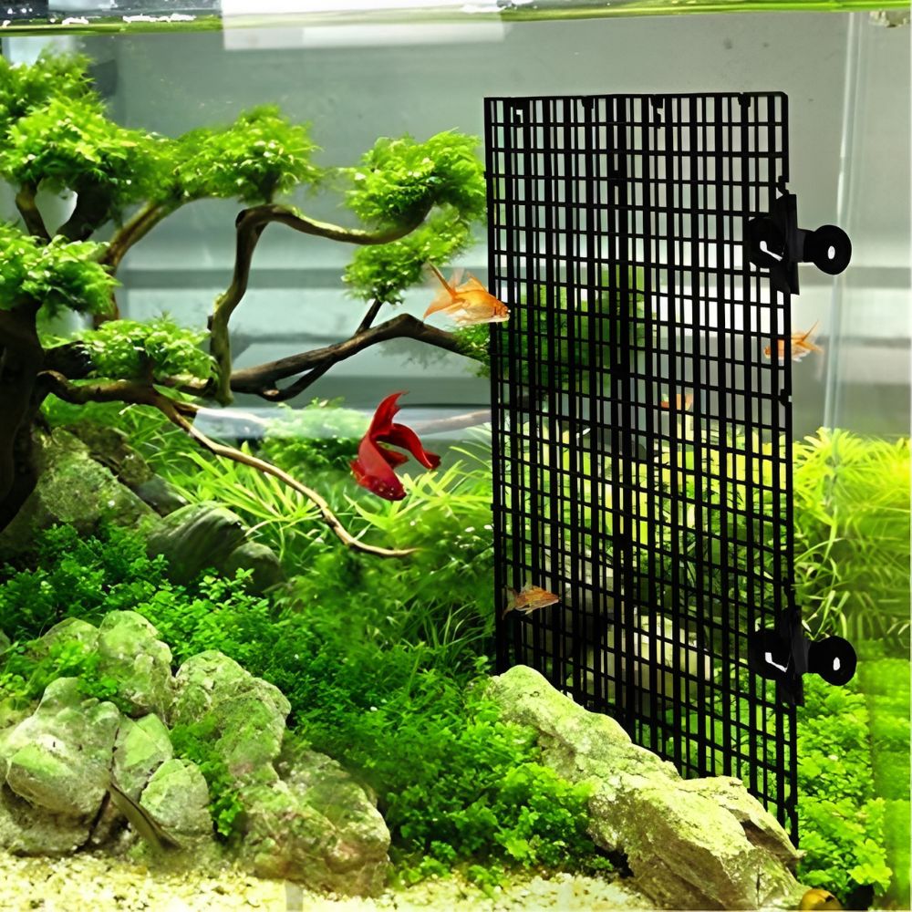 14개 검정색 플라스틱 수족관 그리드 메쉬(흡착컵 클립 - Aquarium Fish Elevator 리뷰 및 가격