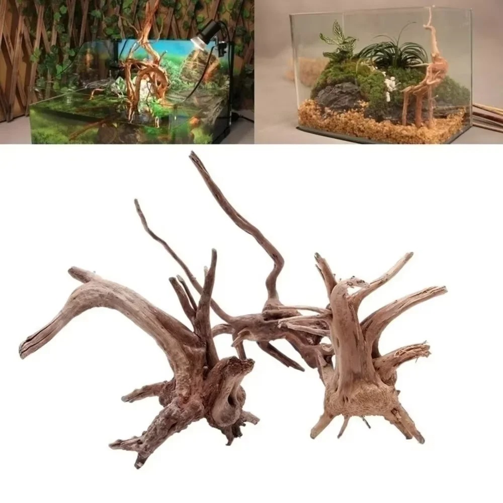 15-20CM 천연 유목 수족관 장식 - 프리미엄 나무 - Aquarium Fish Guppy 리뷰 및 가격