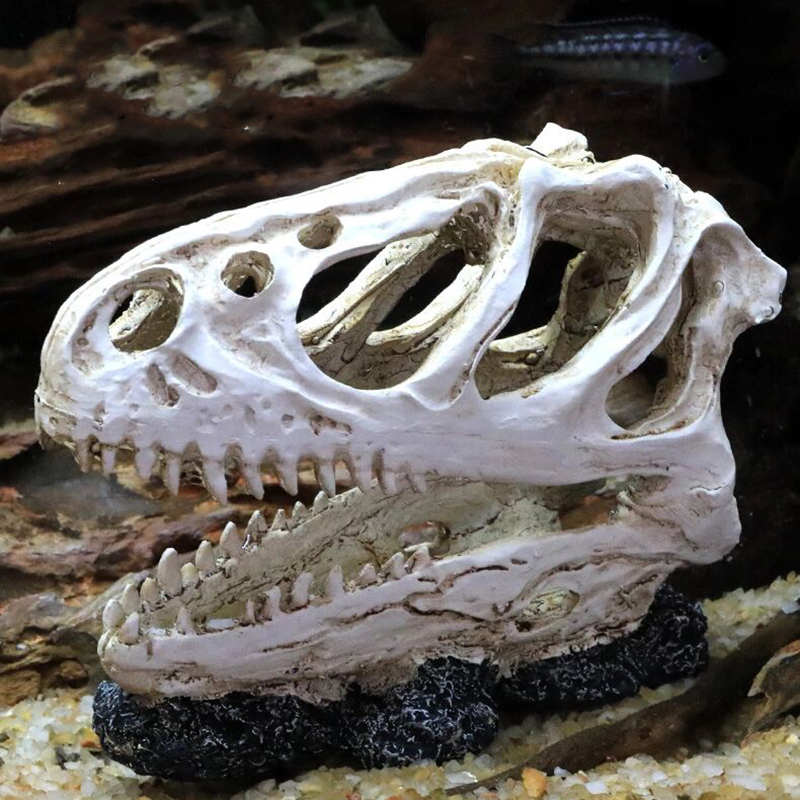 수족관 어항 공룡 머리 해골 장식, 수지 공예, 할로윈 - Aquarium Fish Popular 리뷰 및 가격