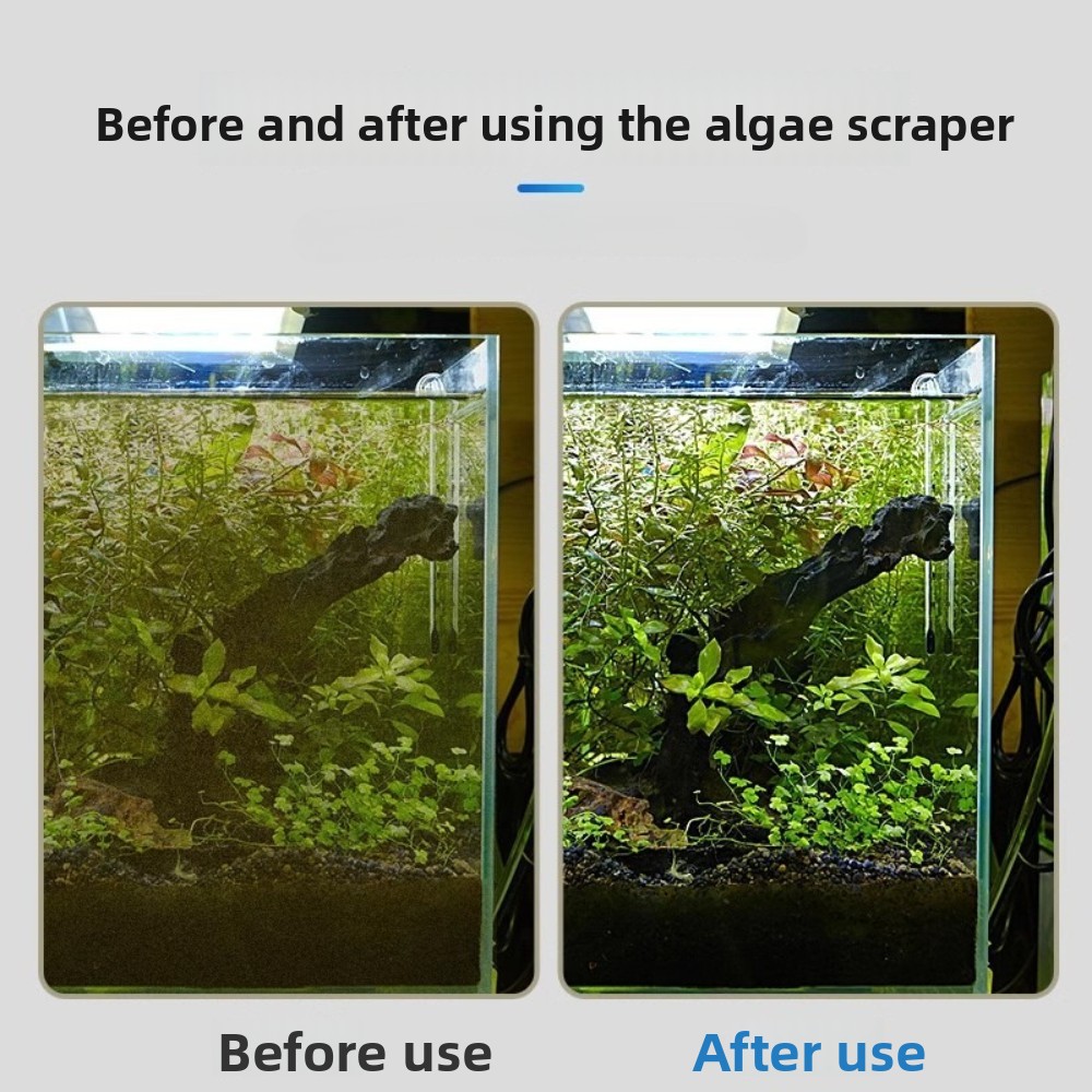 이중 용도 수족관 조류 제거기 탱크 유리 모래 표면용  - Algae Scraper Blade 리뷰 및 가격