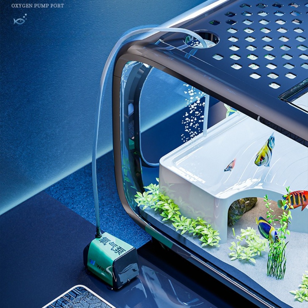 투명 고급 어항, 내구성 좋은 거실 장식, 소형 금붕어 - Aquarium Fish Goldfish 리뷰 및 가격