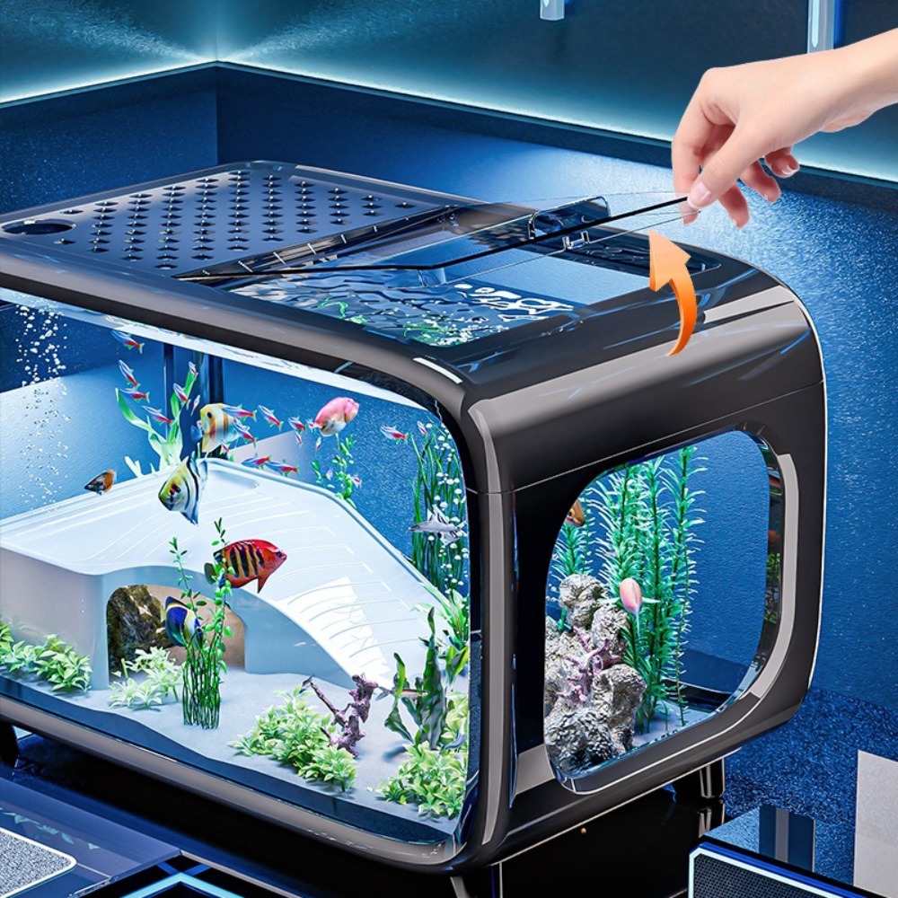 투명 고급 어항, 내구성 좋은 거실 장식, 소형 금붕어 - Aquarium Fish Goldfish 리뷰 및 가격