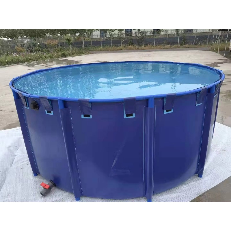 도매 맞춤형 야외 대형 인기 PVC 대형 사이즈 코이  - Aquarium Fish Popular 리뷰 및 가격