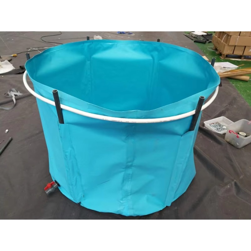 도매 맞춤형 야외 대형 인기 PVC 대형 사이즈 코이  - Aquarium Fish Popular 리뷰 및 가격