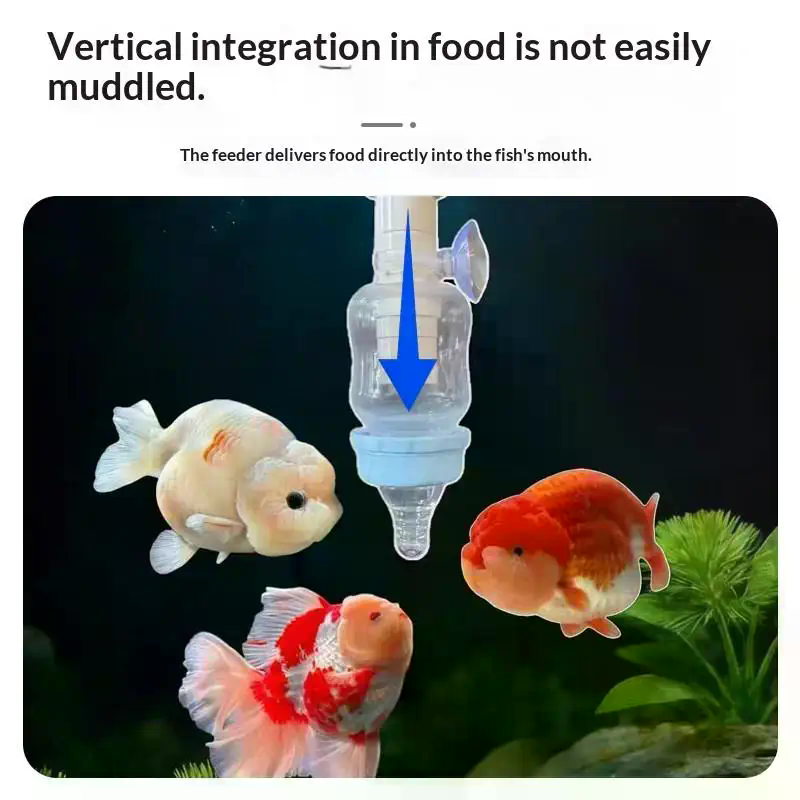 인기 정밀 물고기 수유기 고정점 수족관 급식 도구 탁월 - Aquarium Fish Popular 리뷰 및 가격