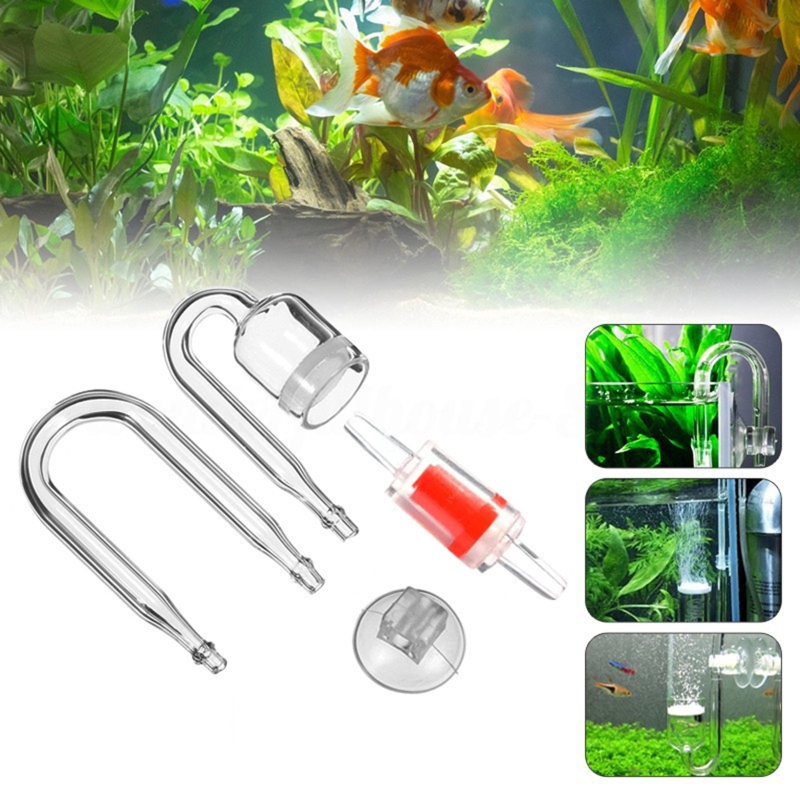 수족관 유리 탱크용 DIY CO2 디퓨저, 버블 반응기 - Live Fish Aquarium 리뷰 및 가격
