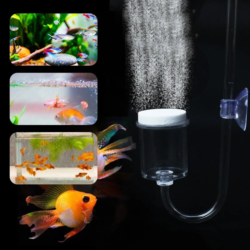 수족관 유리 탱크용 DIY CO2 디퓨저, 버블 반응기 - Live Fish Aquarium 리뷰 및 가격